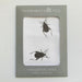 Single Black Beetles Handkerchief
