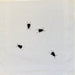 Single Black Beetles Handkerchief