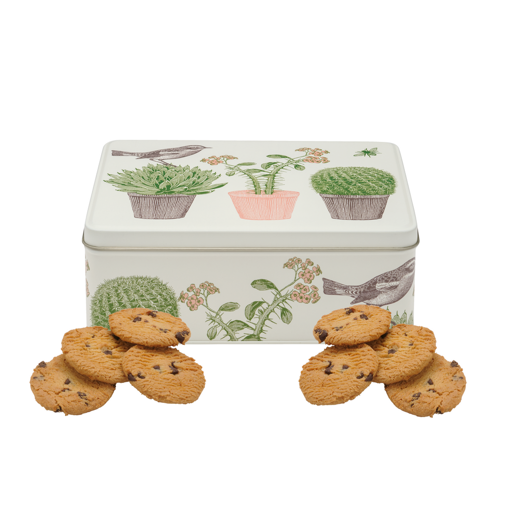 Cactus & Bird Rectangle Tin, Filled with Biscuits