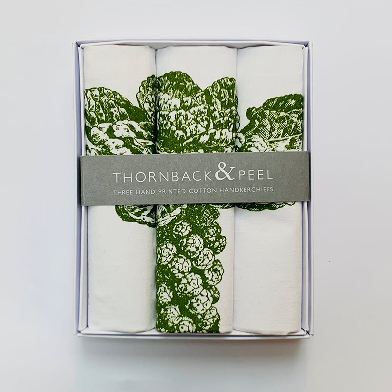 Brussel Sprout Hanky Box