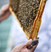 Beehive & Clover Oven Glove