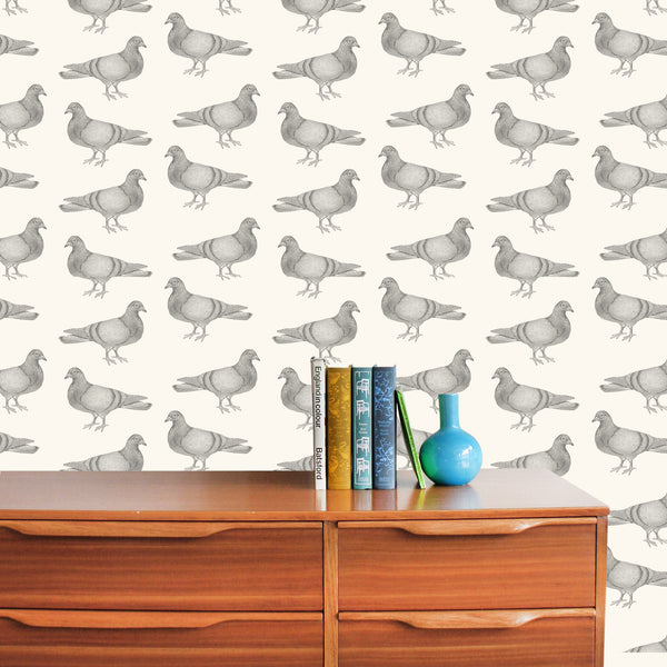 Thornback & Peel Pigeon Wallpaper
